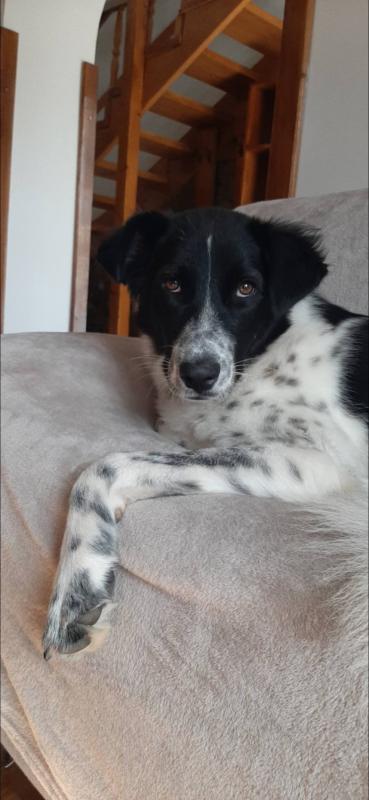 Dotty