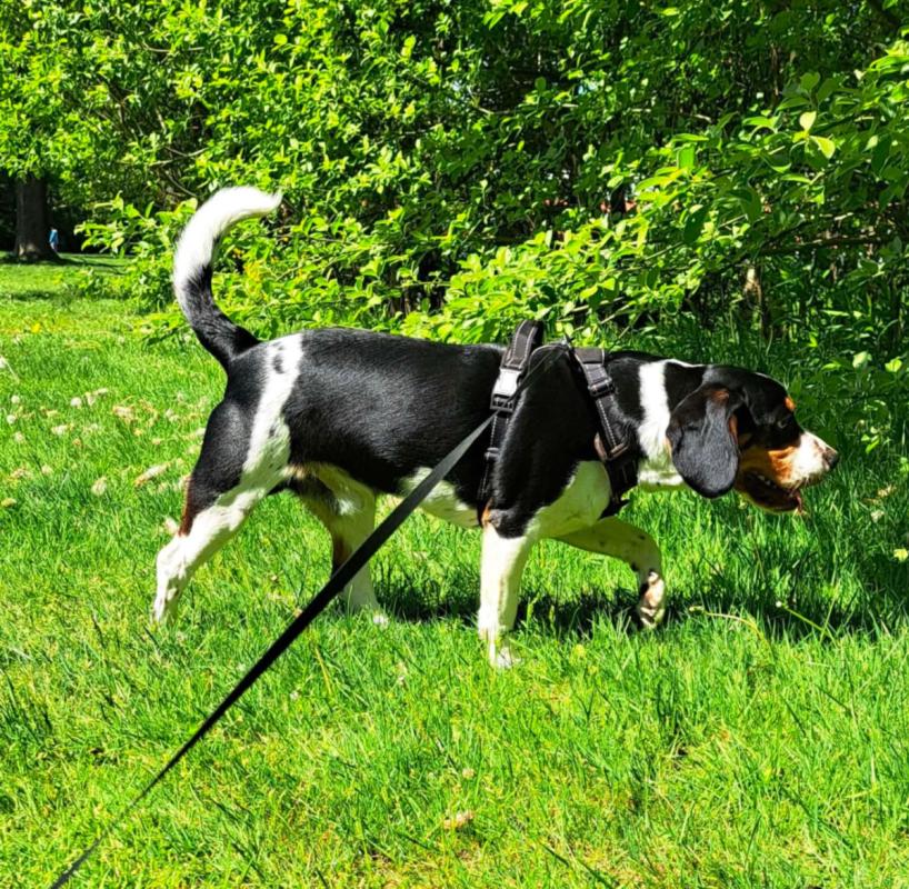 Salvador