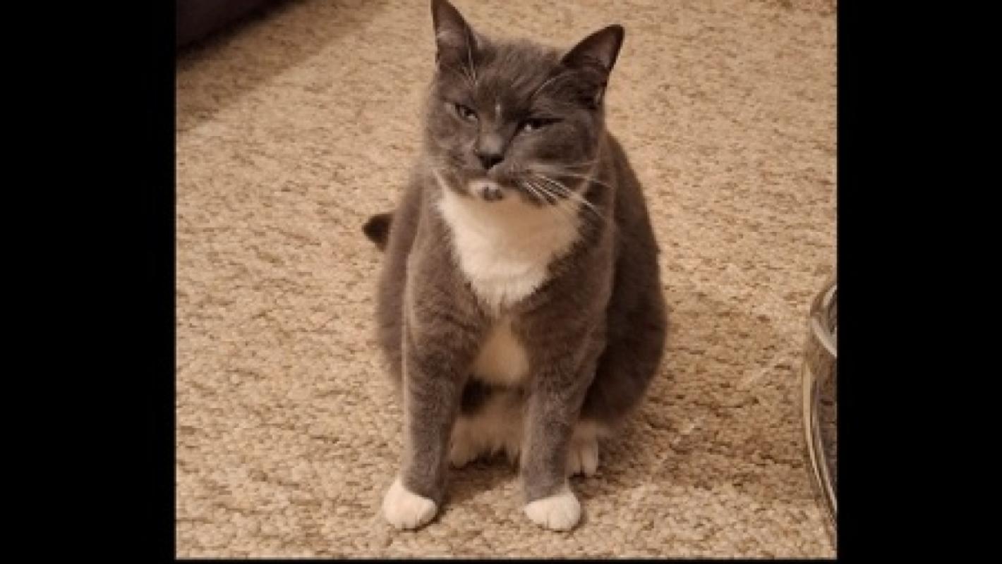Alexei