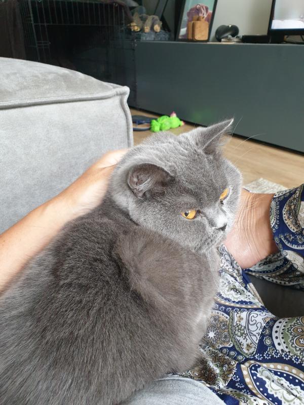 Sam