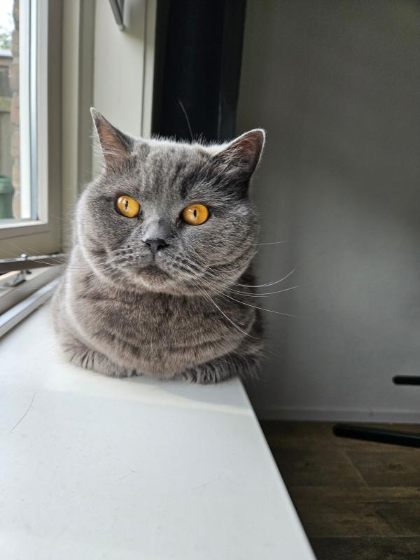 Sam