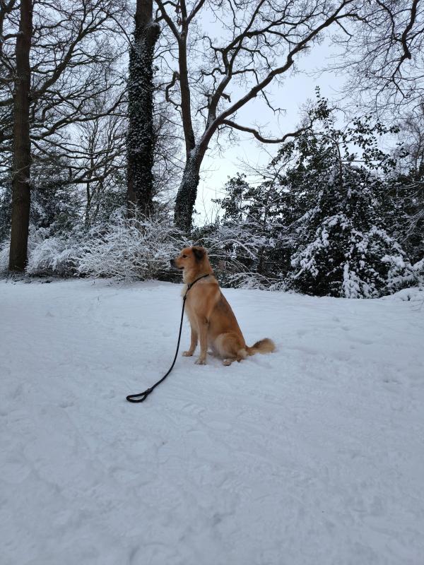 Lilly