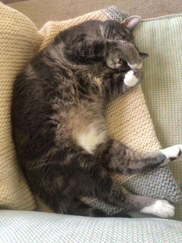 Pip