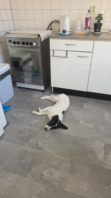 Milo