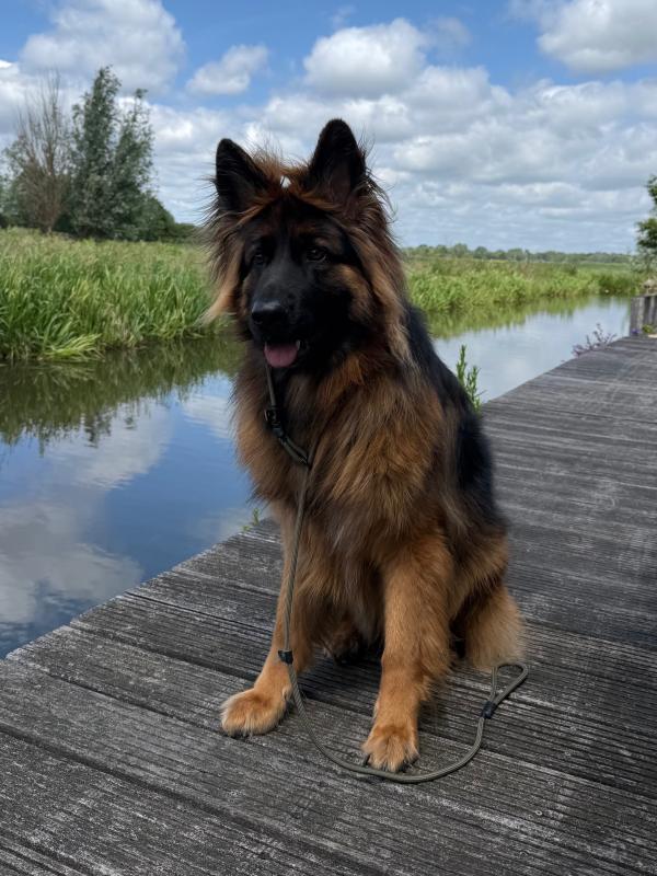 Max