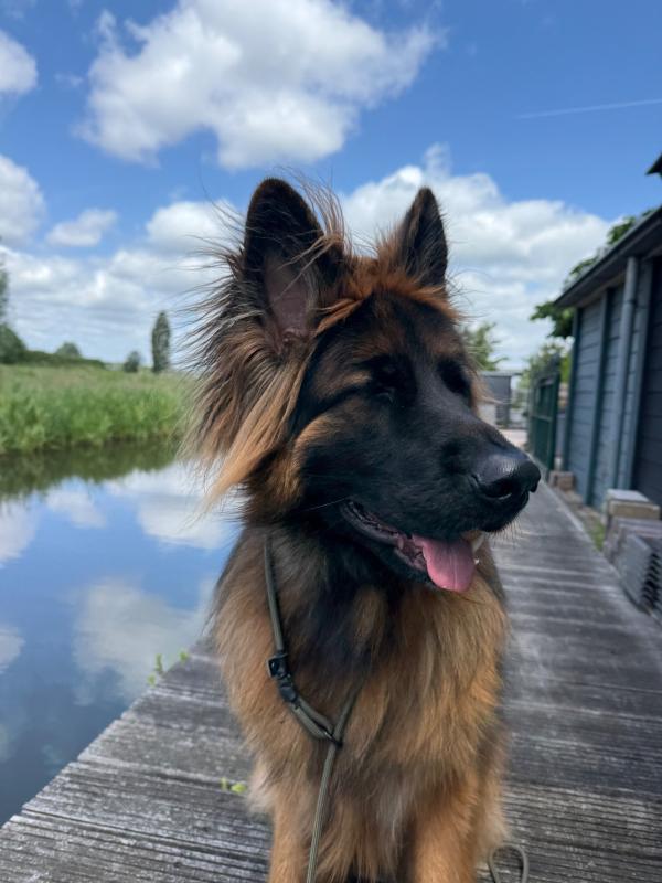 Max