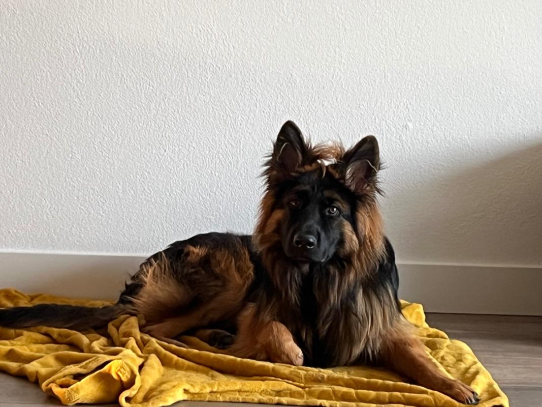 Max