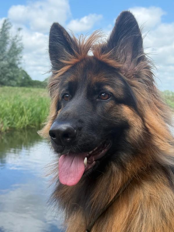 Max