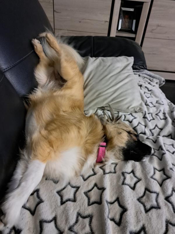 Bailey