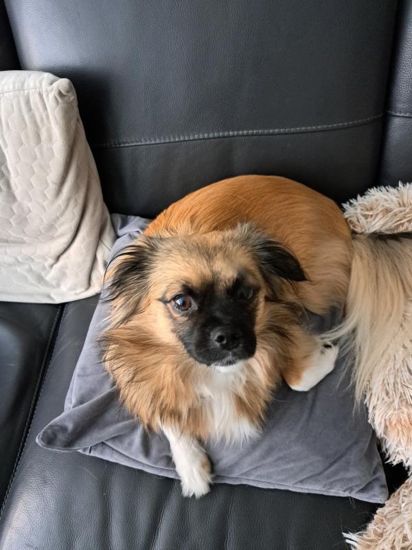 Bailey