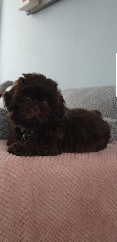 Bailey