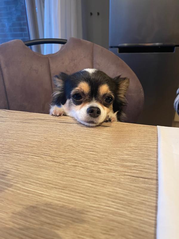 Pip
