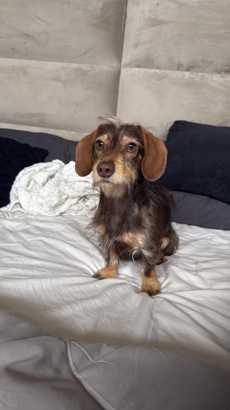 Frankie