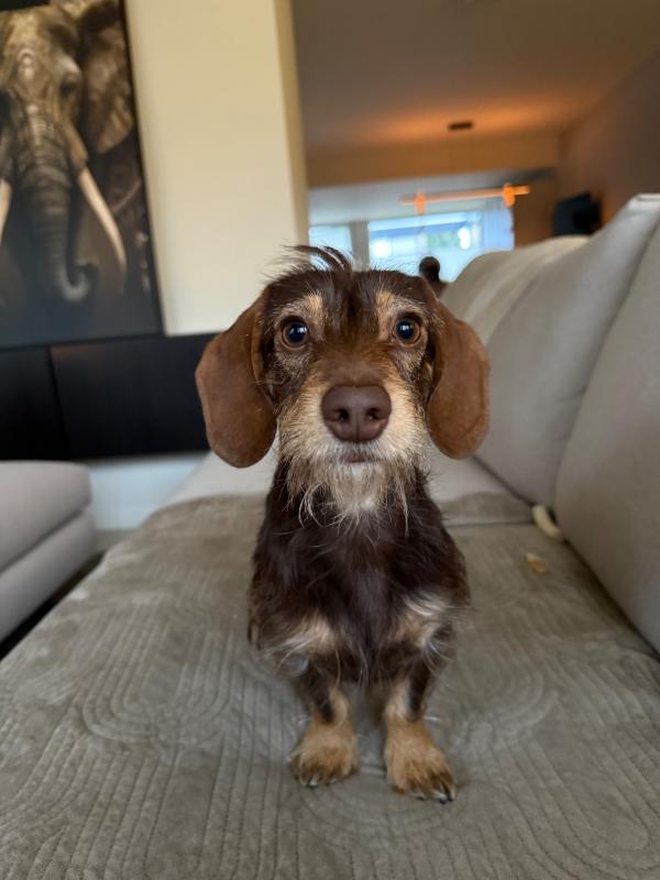 Frankie