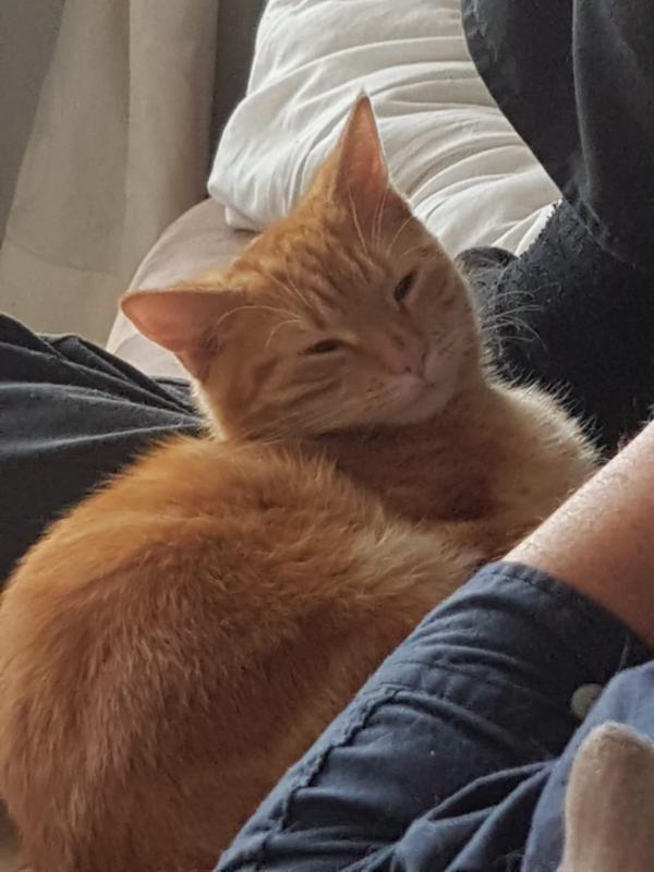 Bob