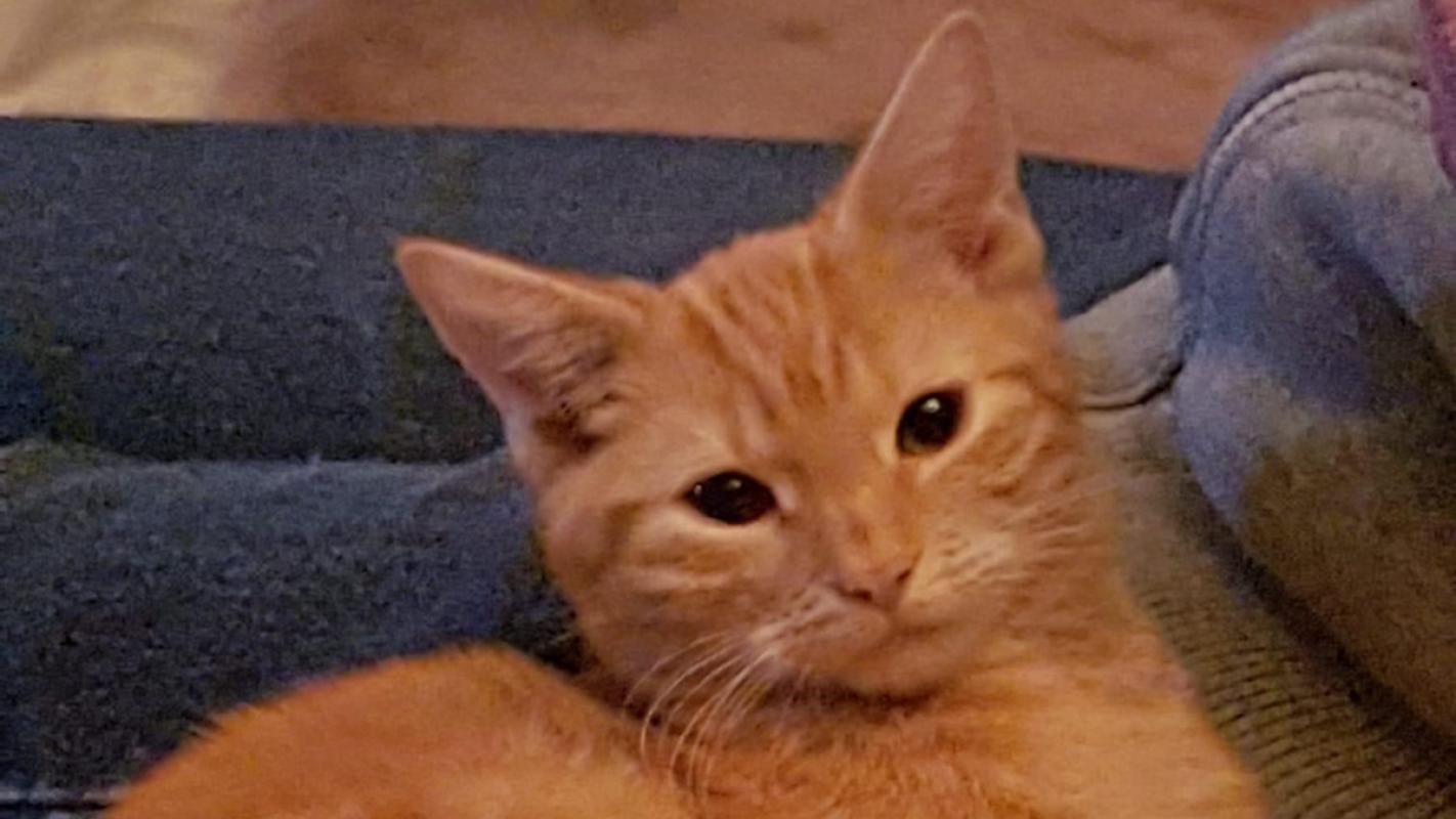 Bob