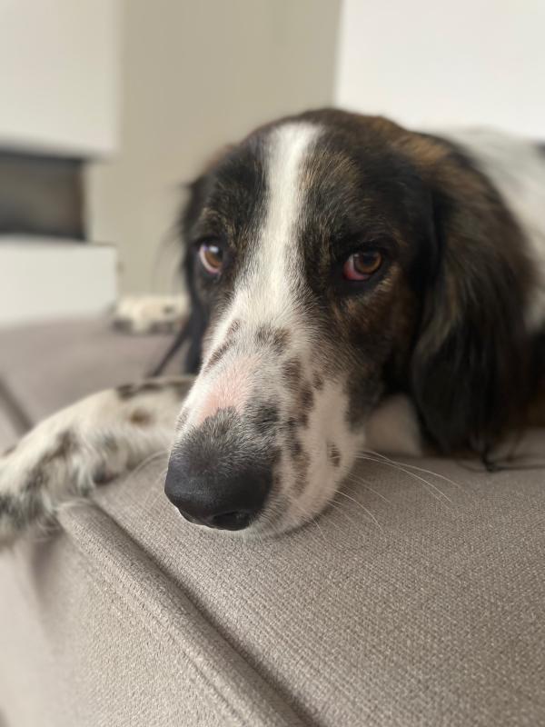 Yuki