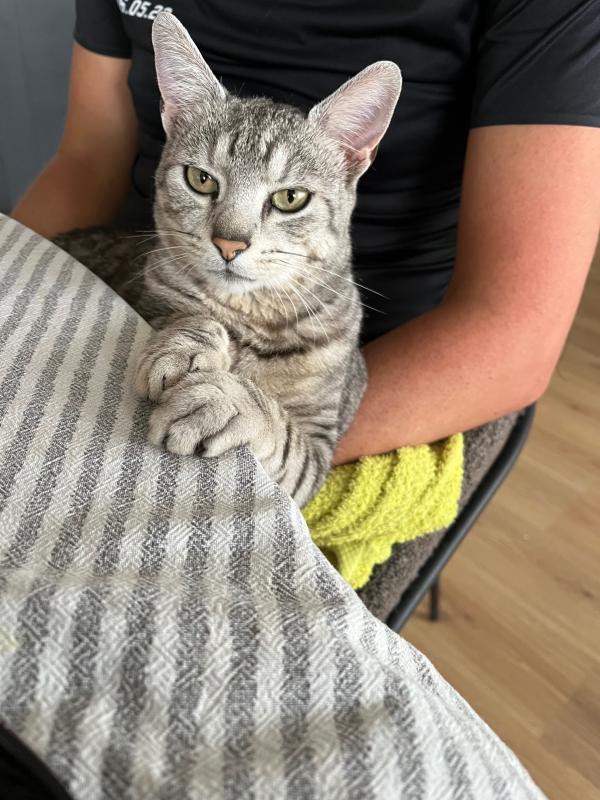 Bella