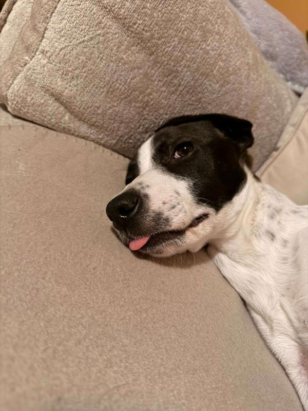 Mindi