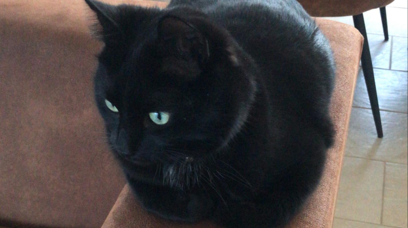 Pablo