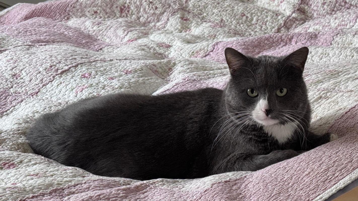 Milo