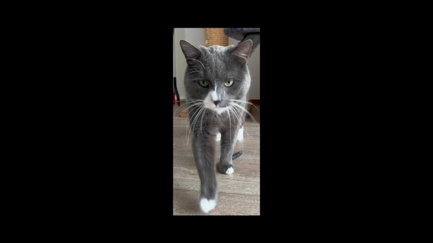 Milo