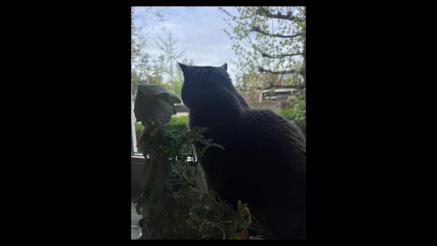 Milo