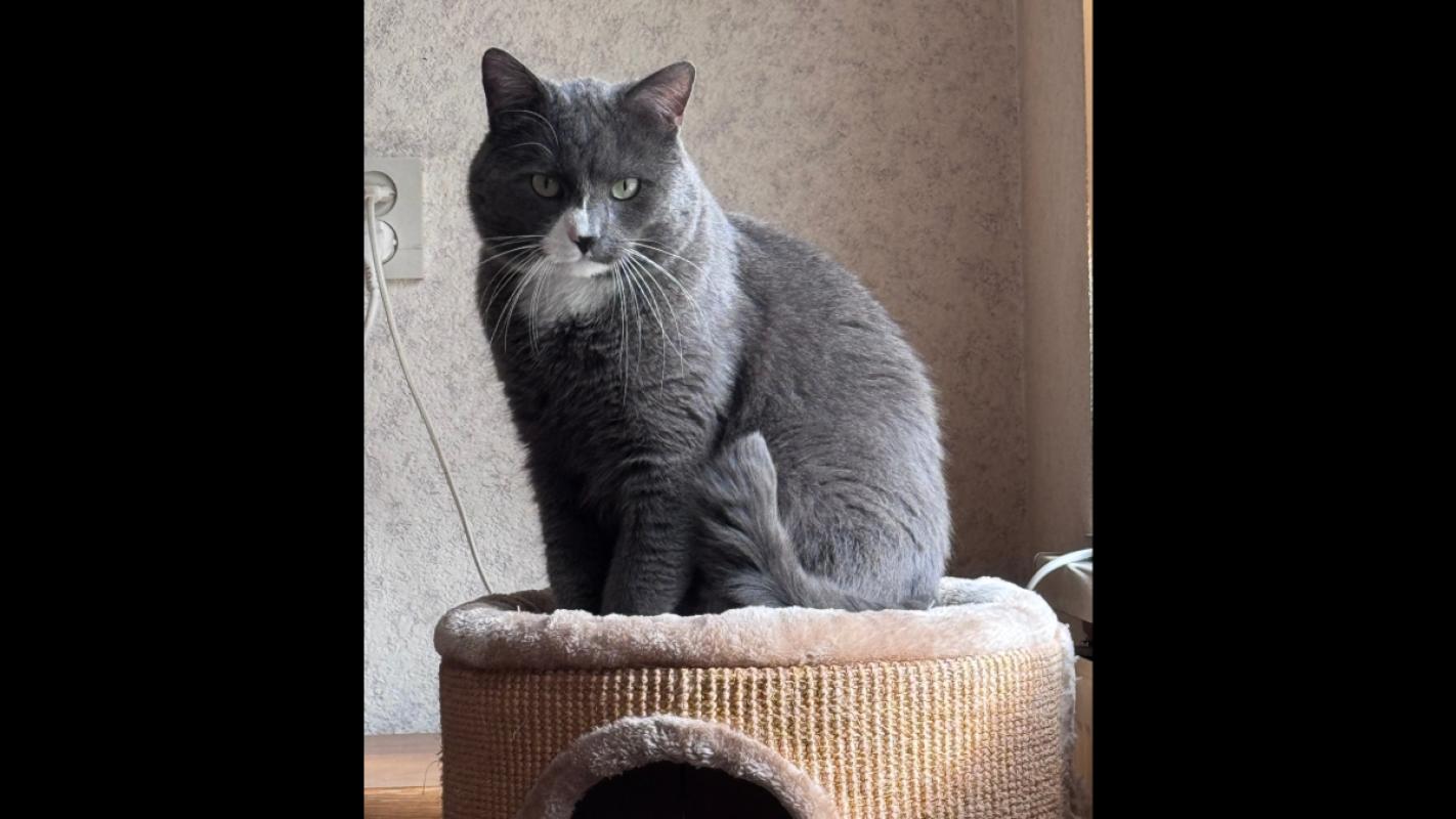 Milo