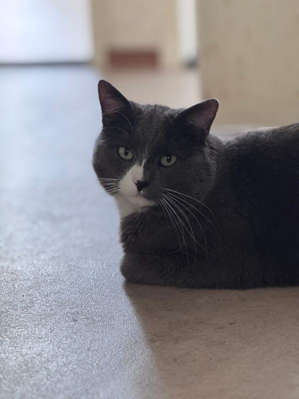 Milo