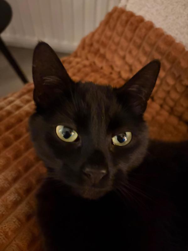 Max