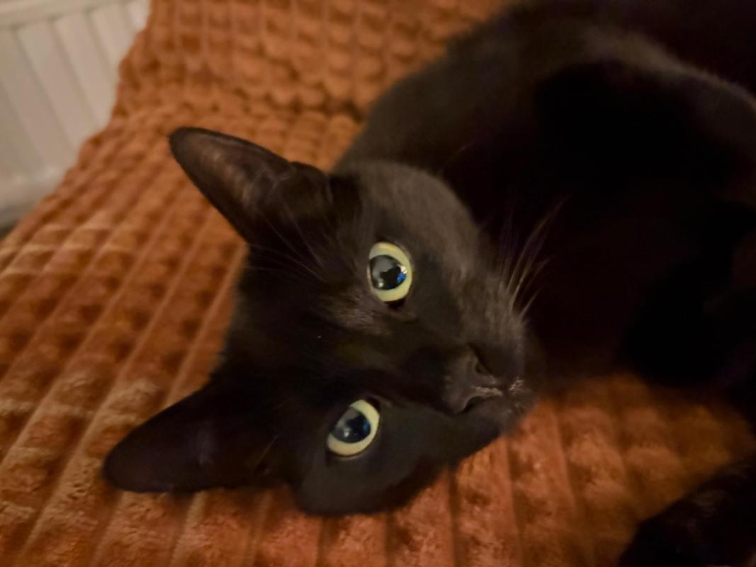 Max