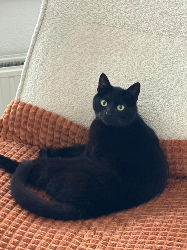 Max