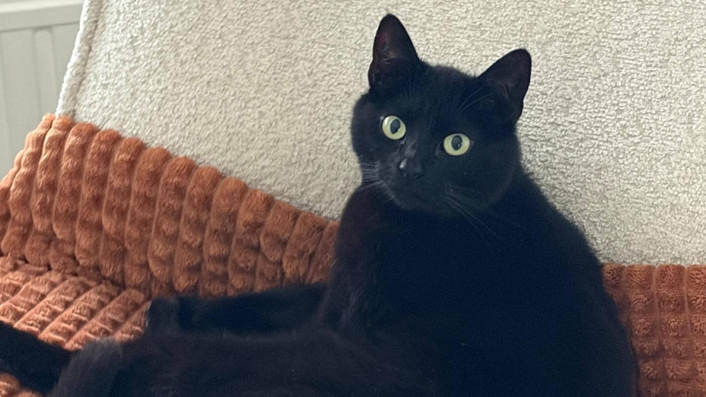 Max