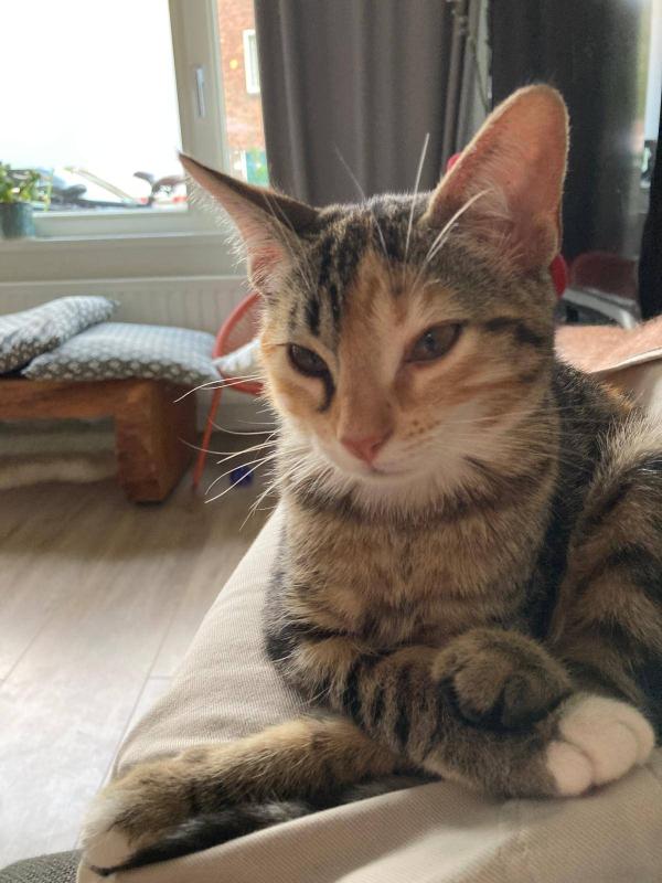 Sam
