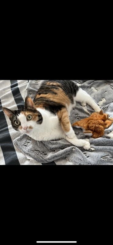 Lena