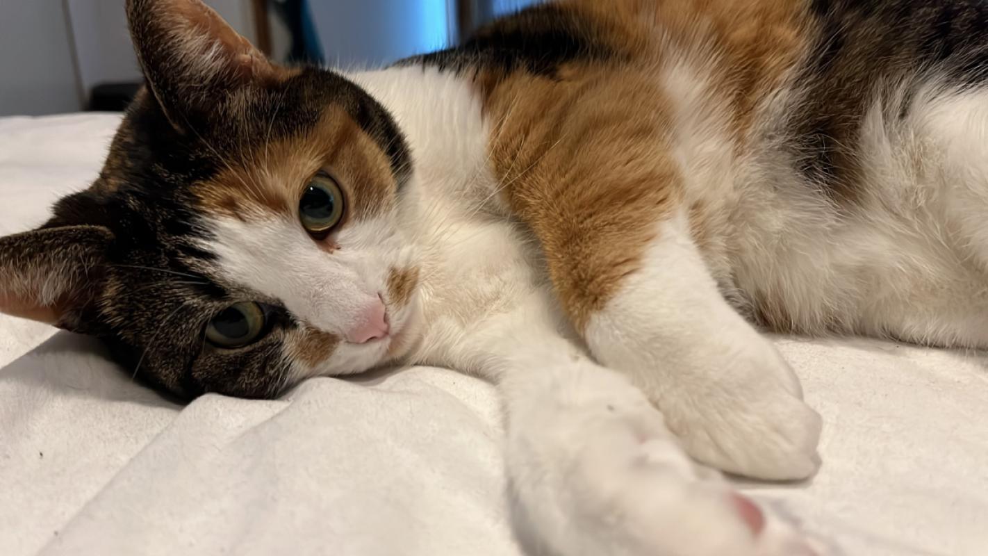 Lena
