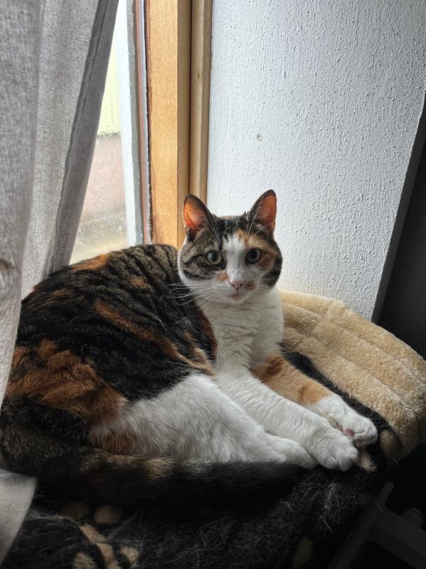 Lena