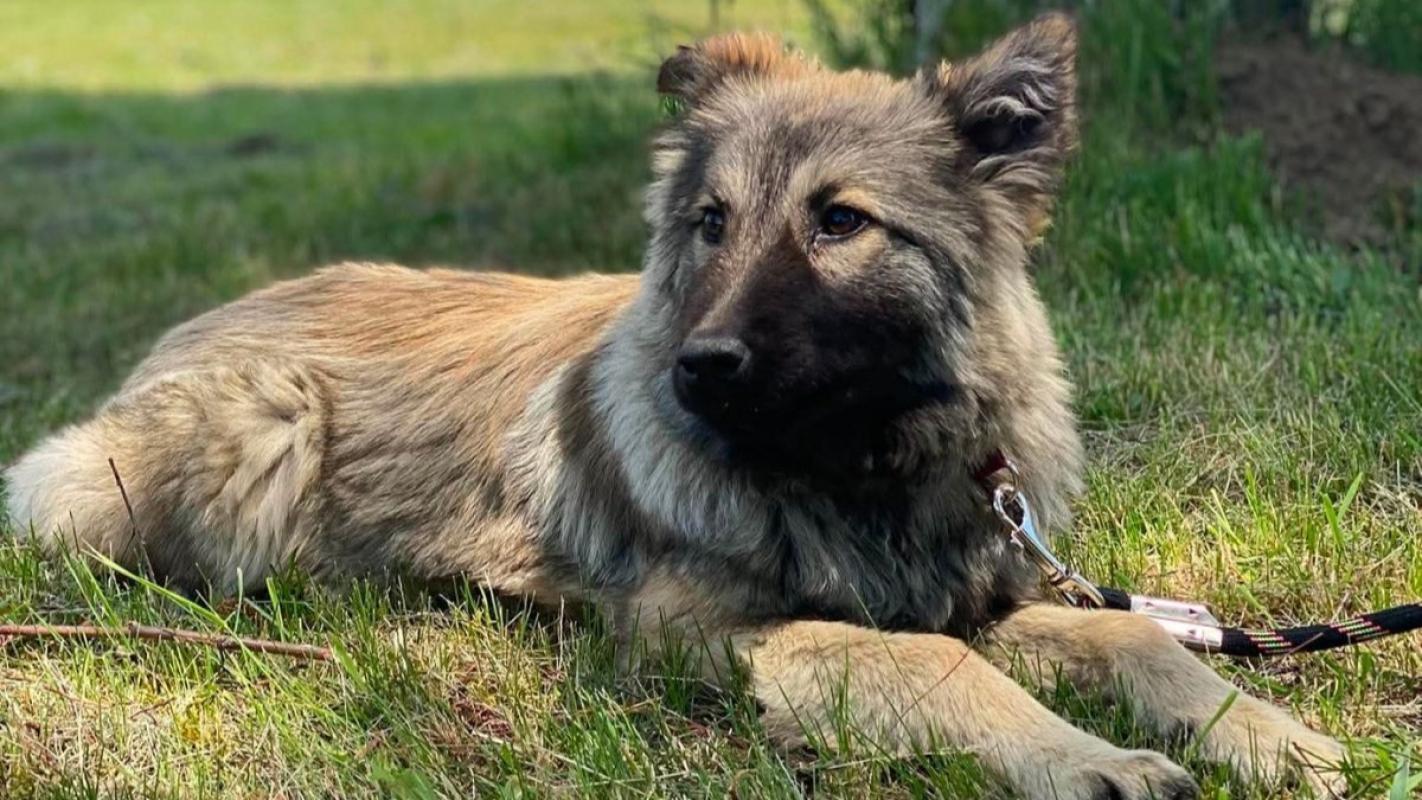 Tanja