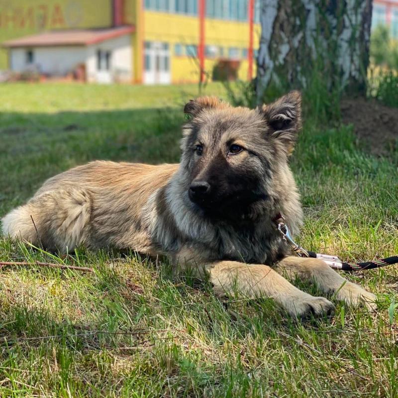 Tanja