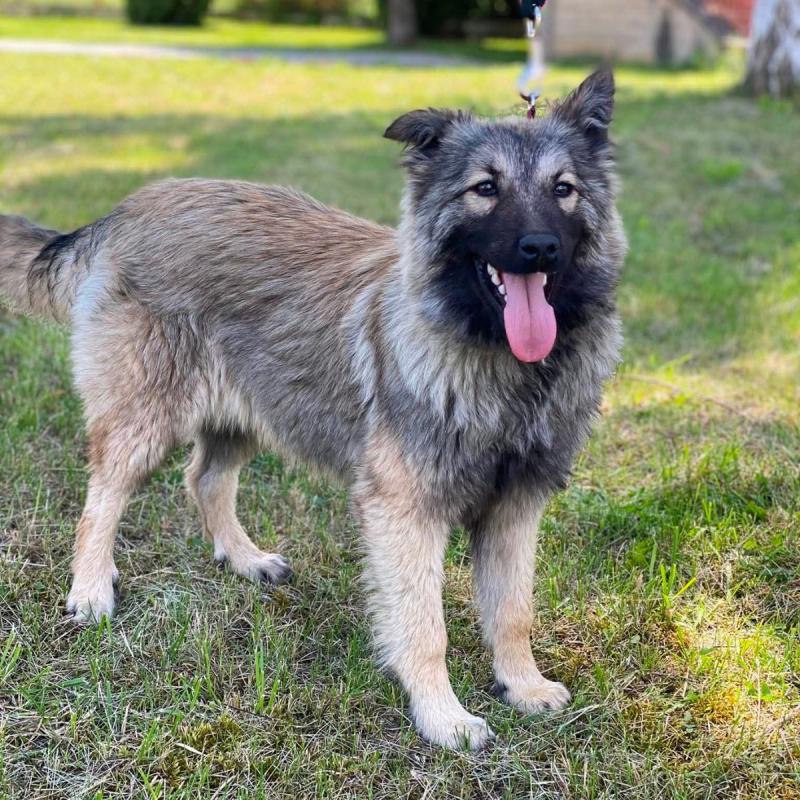 Tanja