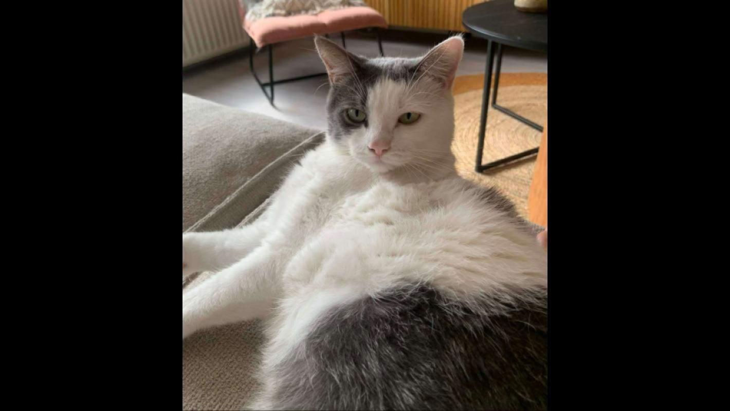 Kiki