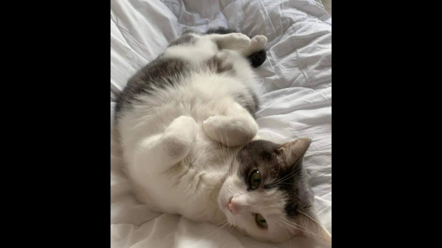 Kiki