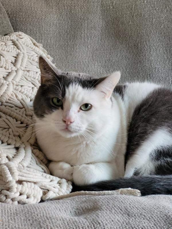 Kiki
