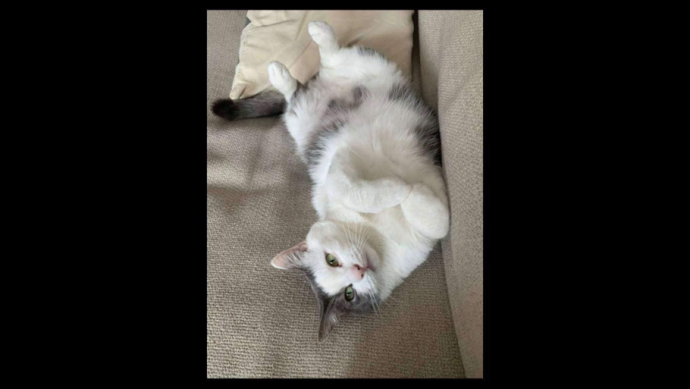 Kiki