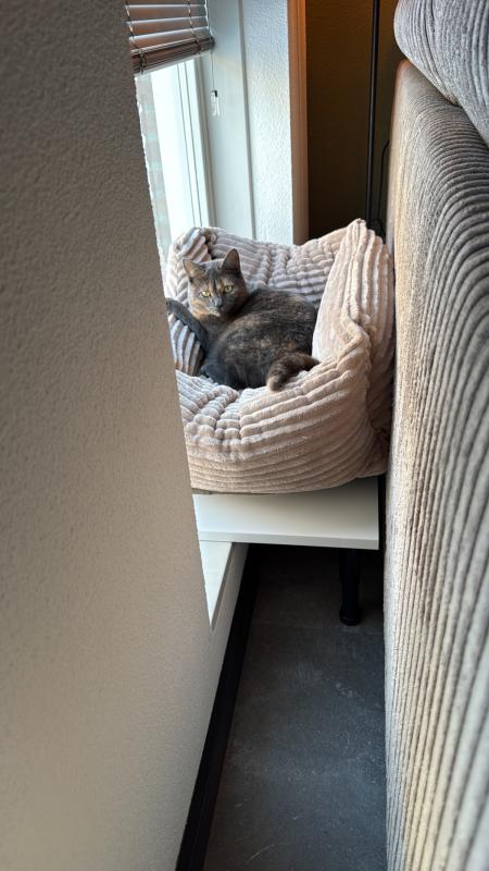 Zira