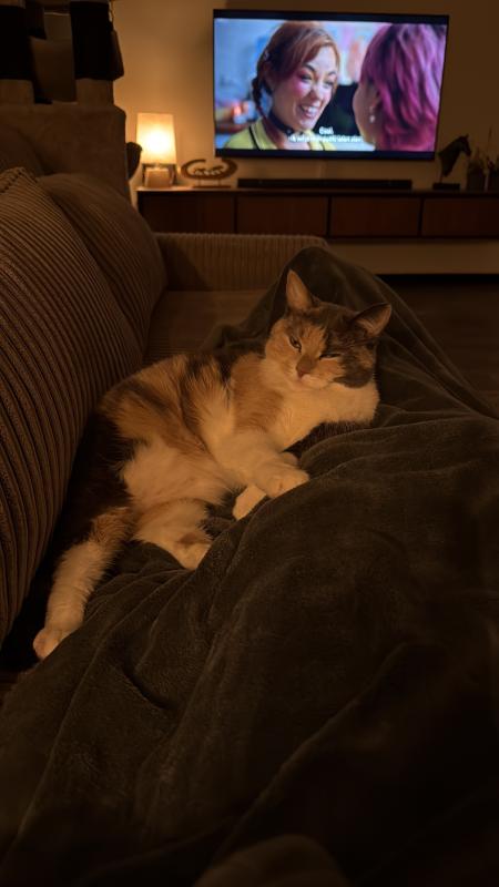 Nala