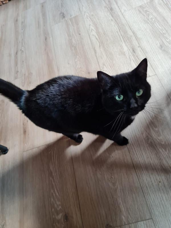Coco