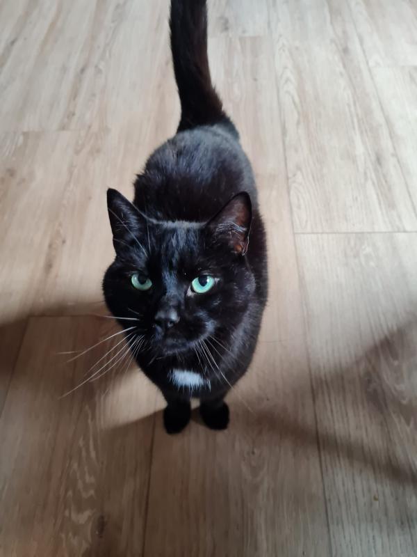 Coco
