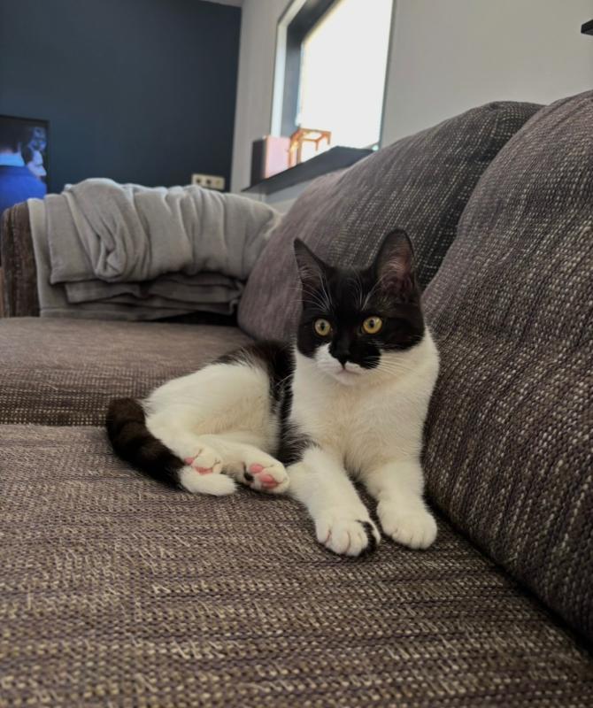 Mimi