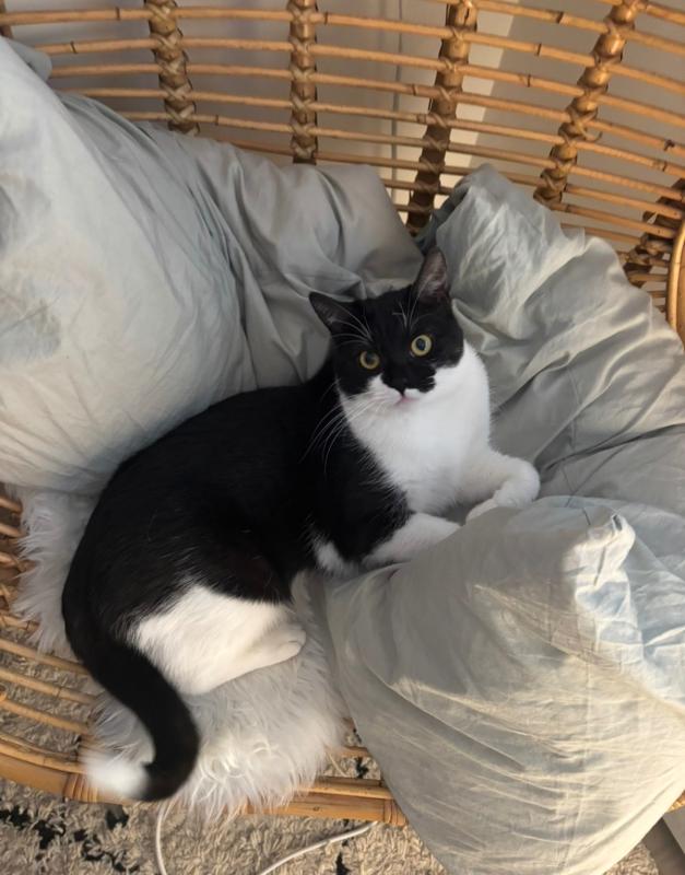 Mimi
